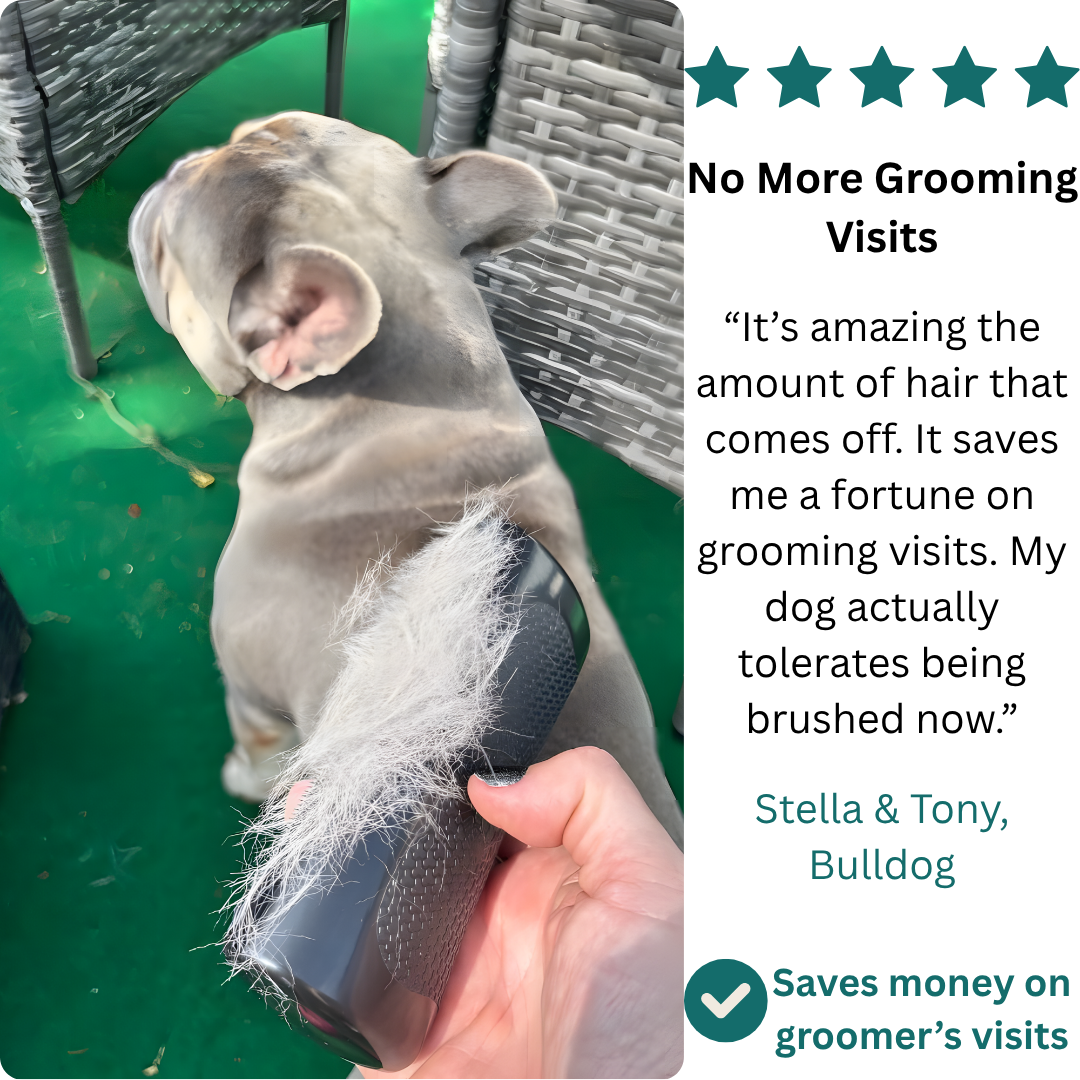 Groomy- š„ The Therapeutic Grooming Solution