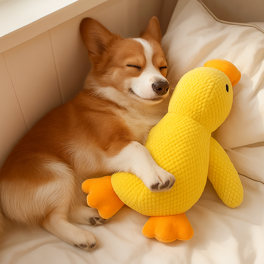 Toutou Jaune