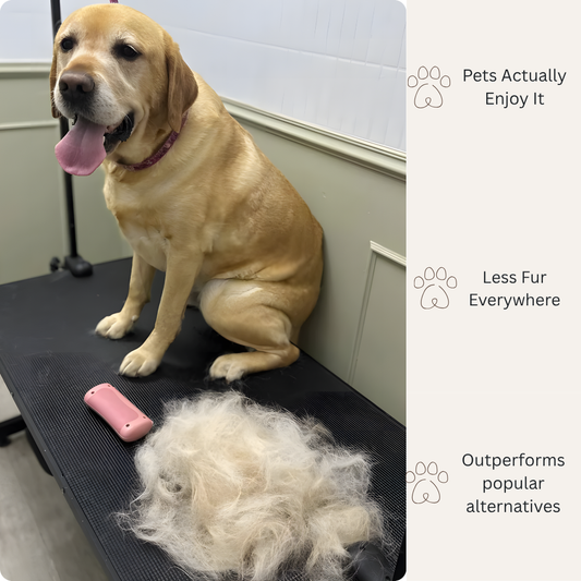 Groomy- 🥇 The Therapeutic Grooming Solution