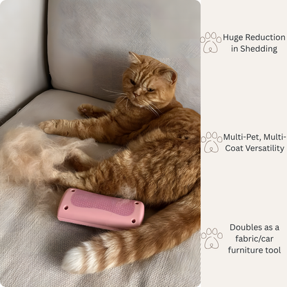 Groomy- 🥇 The Therapeutic Grooming Solution