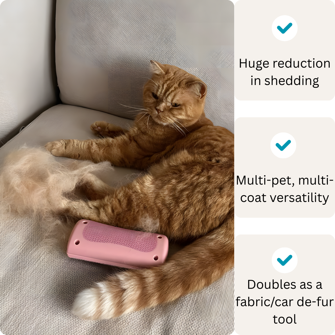 Groomy Pro — la solution anti-mue n° 1 pour animaux