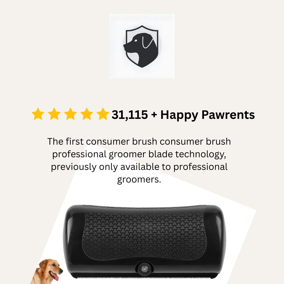 Groomy Pro — la solution anti-mue n° 1 pour animaux