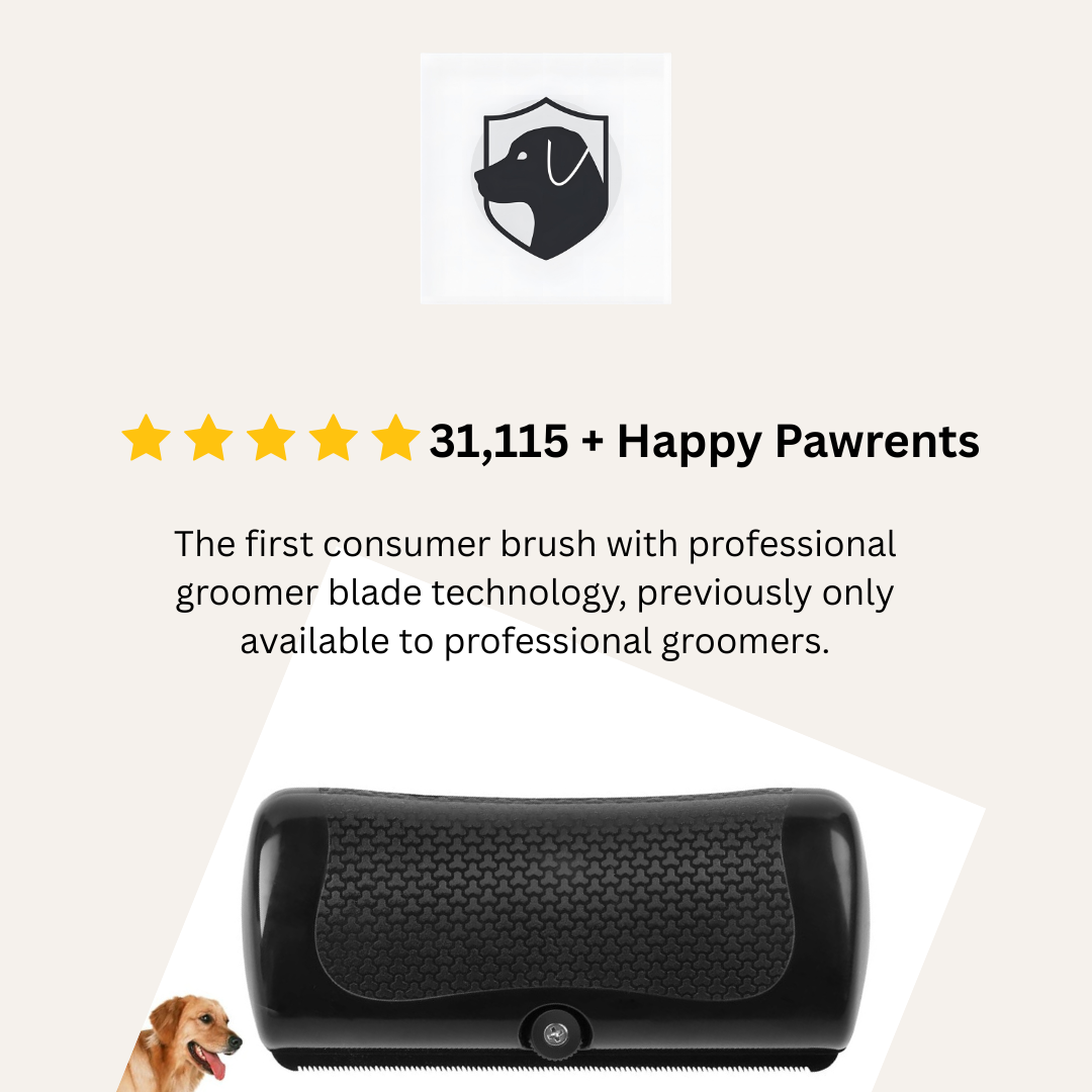 Groomy- 🥇 The Therapeutic Grooming Solution