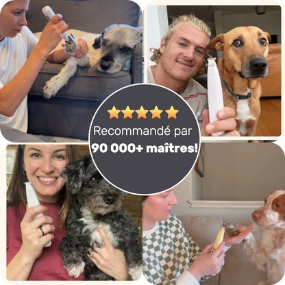 CalmClippers™ for Dogs