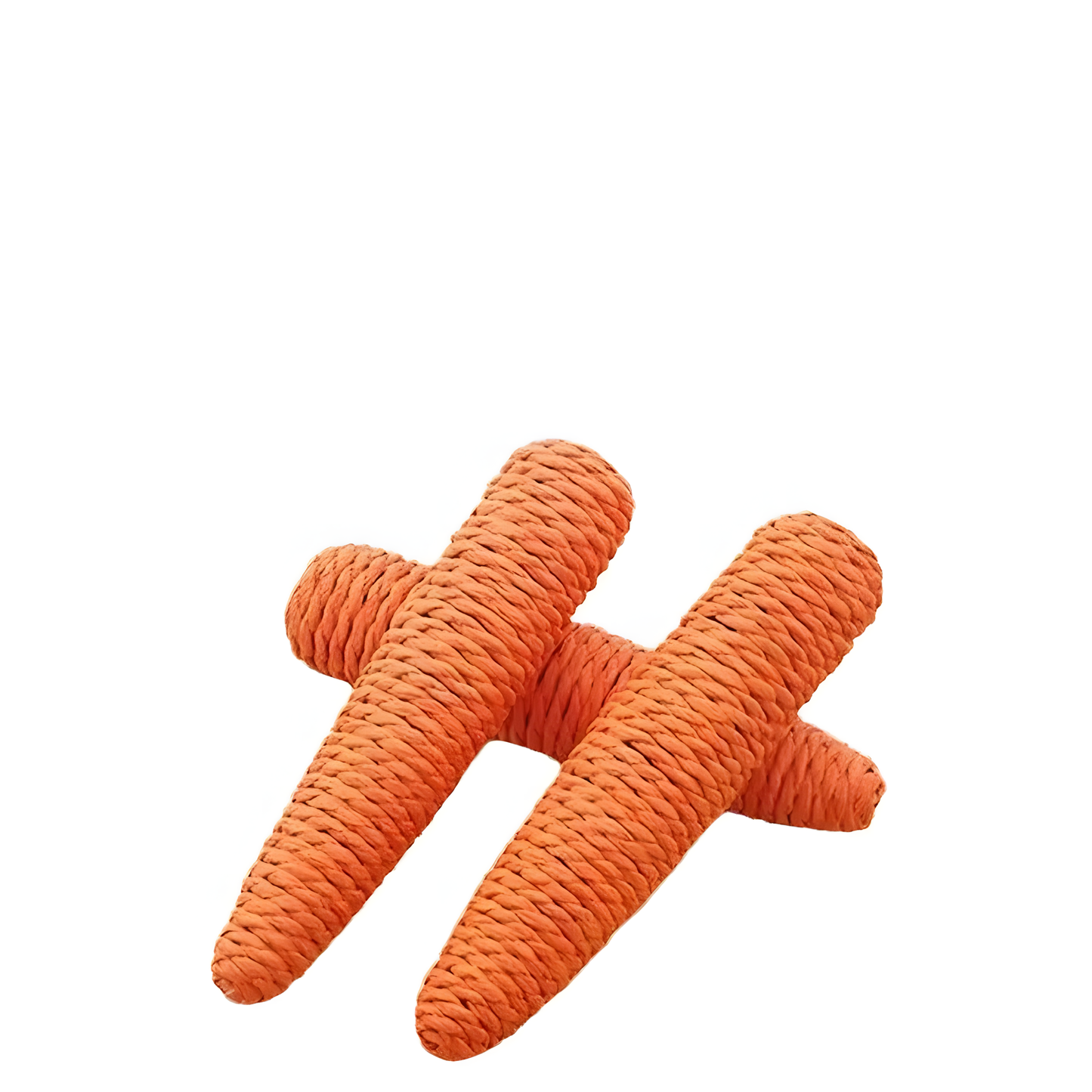 Carrot Chew Toy