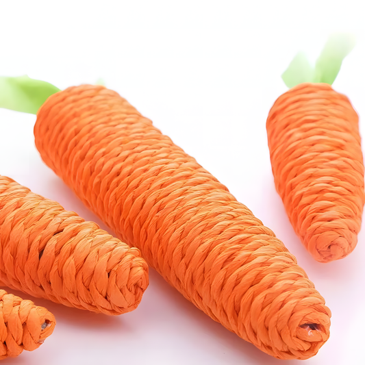 Carrot Chew Toy